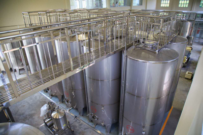 藍莓酒成國際酒業"后起之秀" 青島酒莊參與制定國家標準|青島|半島網